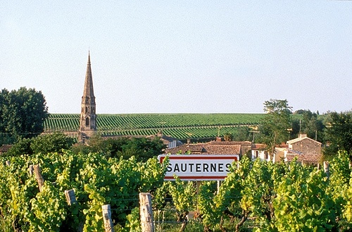 One day in Graves and Sauternes